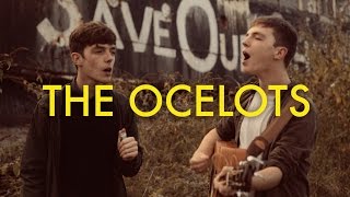 The Ocelots - Can't Even Say Your Name