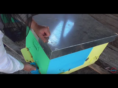 Gheorghita, fost tehnician veterinar, este fascinat de noua tehnologie apicola introdusa de Biostup