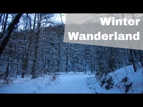 4 Tage Winter Wanderung im Harz | Wandertour #2