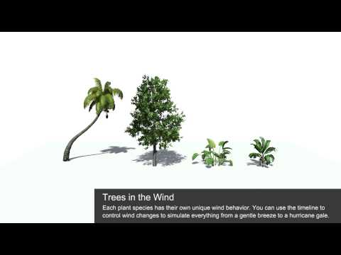 iClone 6 Functional Project - Trees in the Wind