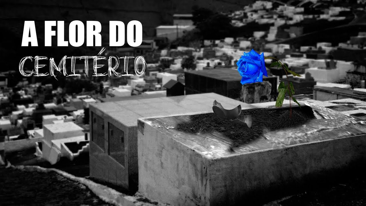 A Flor do Cemitério | Eli Corrêa Oficial |