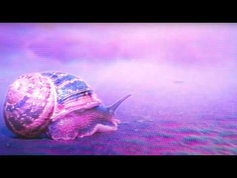 Absofacto - The Knife | NITESHIFT