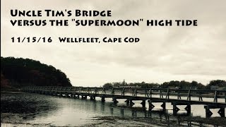 Supermoon high tide vs. Uncle Tim's Bridge