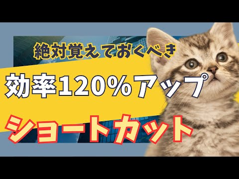 Zoom: 知っておくべきキーボード ショートカット