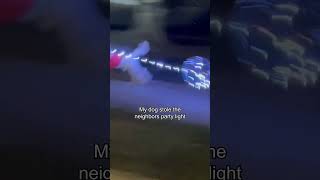 Miniature vidéo