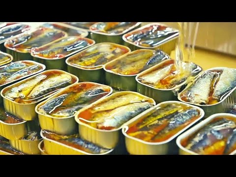 How Canned Sardines Are Made 🥫
