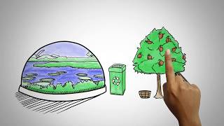 Miniatura do vídeo