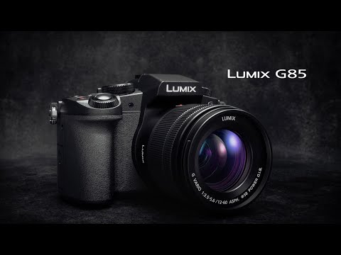 Panasonic LUMIX G85 4K Mirrorless Camera Kit with G Vario 12-60mm Lens