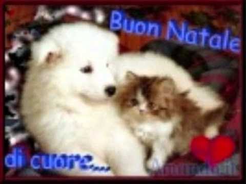 OH HAPPY DAY - CRISTINA SCURI