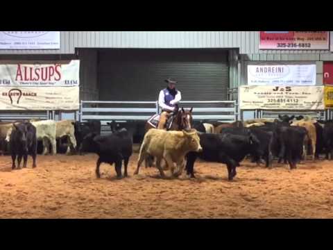 Cattalou - SDP Buffalo Ranch (1/23/16 Open Event)