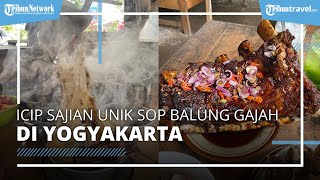 Kuliner Unik di Yogyakarta Cuma Rp 13 Ribu, Sop Balung Gajah dan Balung Bakar Dinisaurus yang Nikmat