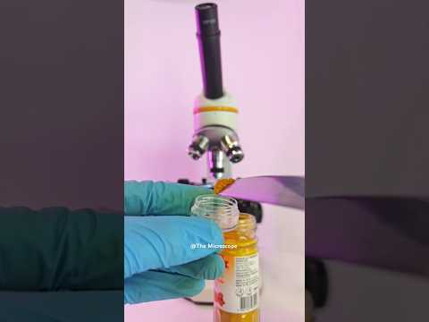 Turmeric vs Microbes।। Haldi vs Microbes #TurmericvsMicrobes #microscope #viralvideo