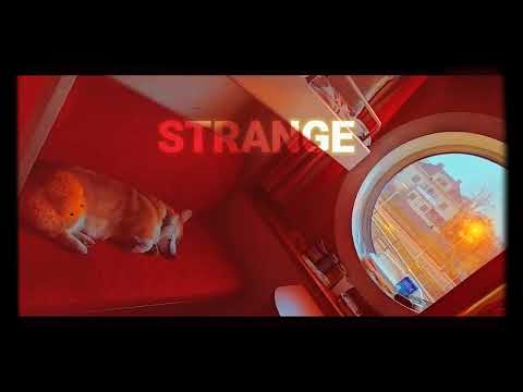 Samuel Silent - Strange (2022)