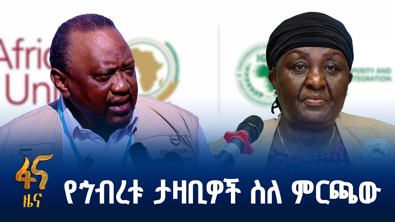 የአፍሪካ ኅብረት የታዛቢዎች ቡድን መግለጫ