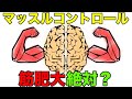 意識が大切?マッスルコントロールと筋肥大の関係性【筋トレ】