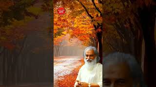 Download lagu Manathil Uruthi Vendum ||K.J. Yesudas ||Illayaraja |Tamil Hits mp3