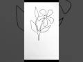 How To Draw Periwinkle Flowers Easy Drawing Shortvideo Shorts Drawingtutorial