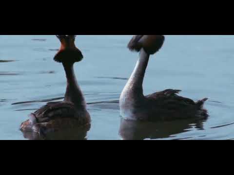 Swiss Nature 🥰❤️🤩❤️🤩🥰🥰#swimming #swissalps  #fashionstyle #lifestyle #makeup