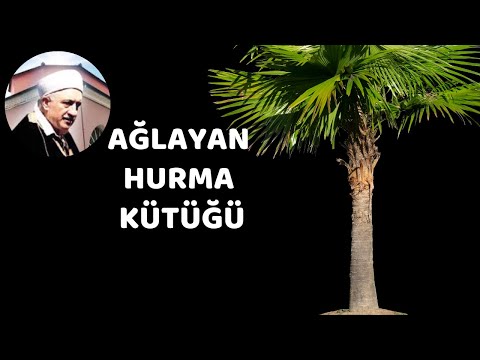 AĞLAYAN HURMA KÜTÜĞÜ ( Namaz Hutbe Serisi 9, 13 Ekim 1978 Bornova )