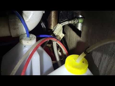 Hidden Garbage Attracts Fruit Flies in Neshanic Station, NJ