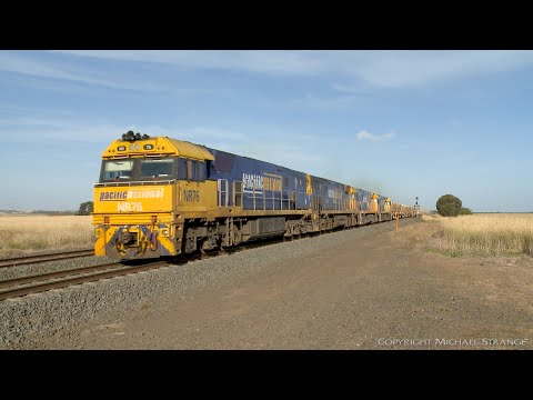 1MP2 Steel Wagons & Shipping Containers (17/1/2021) - PoathTV Australian Trains & Railways