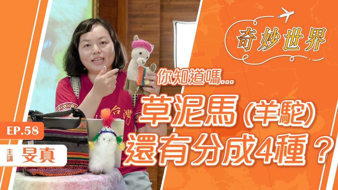 勇闖南美洲：飲食文化綜合篇