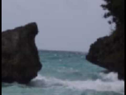 Synthetic Substance - Nostalgia