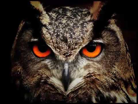 Mr.Son - Μια λουπα βαρια ft. Obnoxious Kas