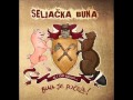 Seljačka Buna-Mi smo drvoseče 