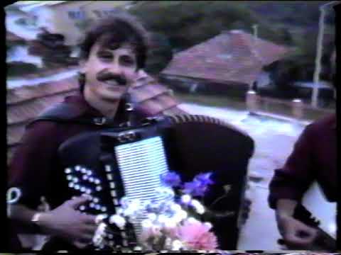 vlaska muzika/panter kolo/ljuba vojvodanovic-avusaj doo mindruce