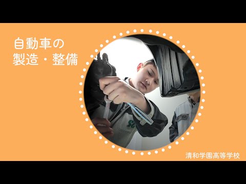 動画の説明