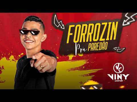 FORROZIN PRA PAREDÃO - VINY CANTOR
