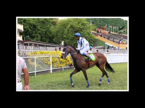 PHOTO GALLERY RACE MEETING 32