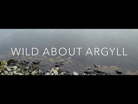 Wild About Argyll