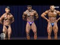 Squeaky Clean 2019 - Bodybuilding (Overall Champion)