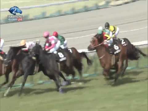 2017.04.02 Marguerite Stakes (JPN) - All the Go