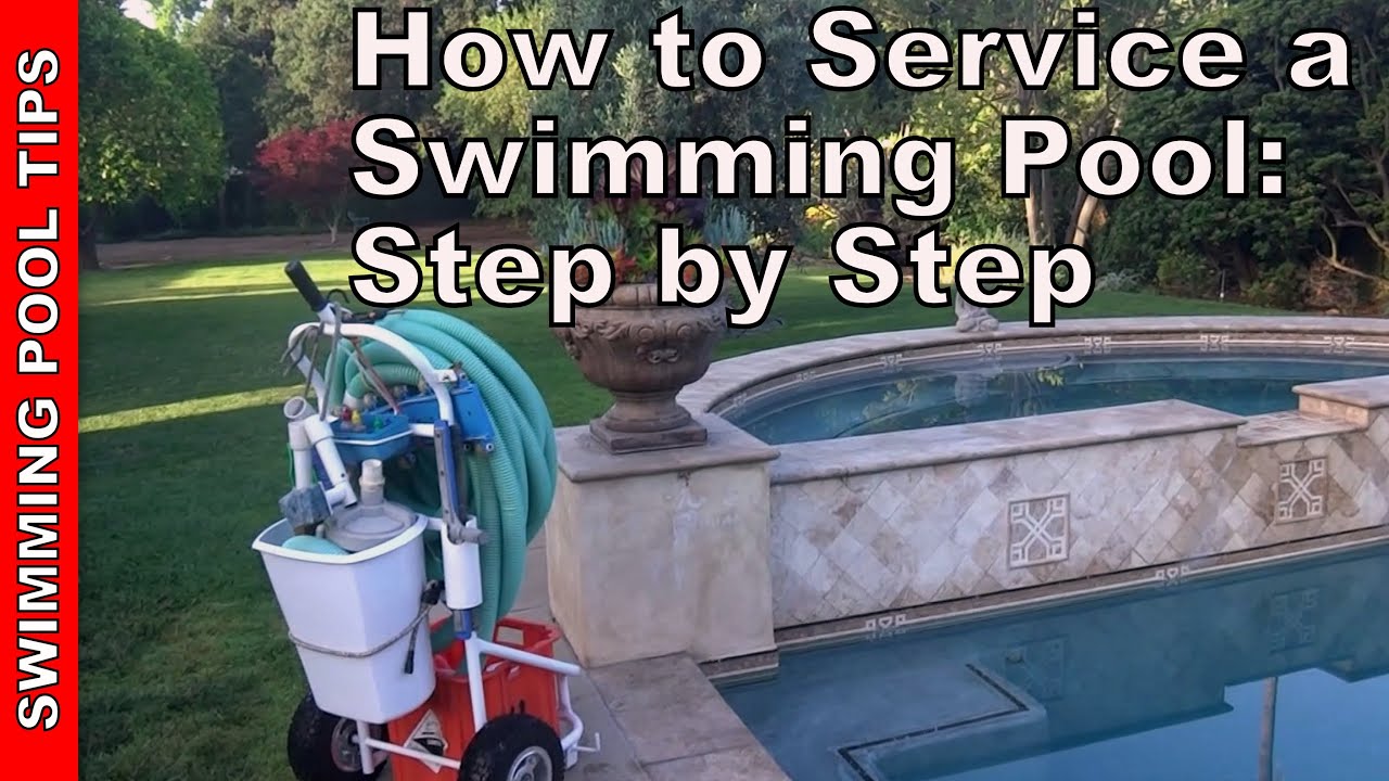 How to Maintain and Service A Swimming Pool: A Step By Step Guide