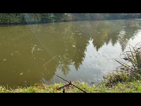 Biss auf der Method-Feeder mit FW-Sirene im Hintergrund