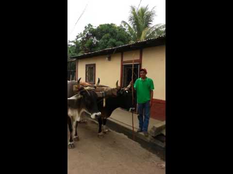 El Jicaro Nueva Segovia Nicaragua