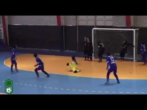 Iran Futsal League