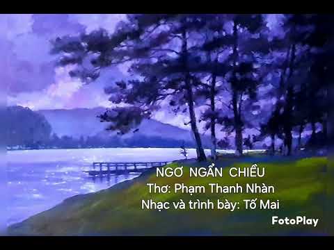Ngơ ngẩn chiều - Tố Mai