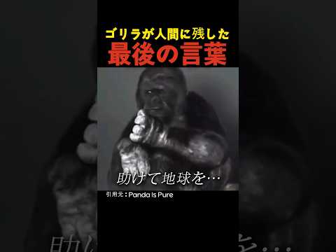 動物に関するフレーズ