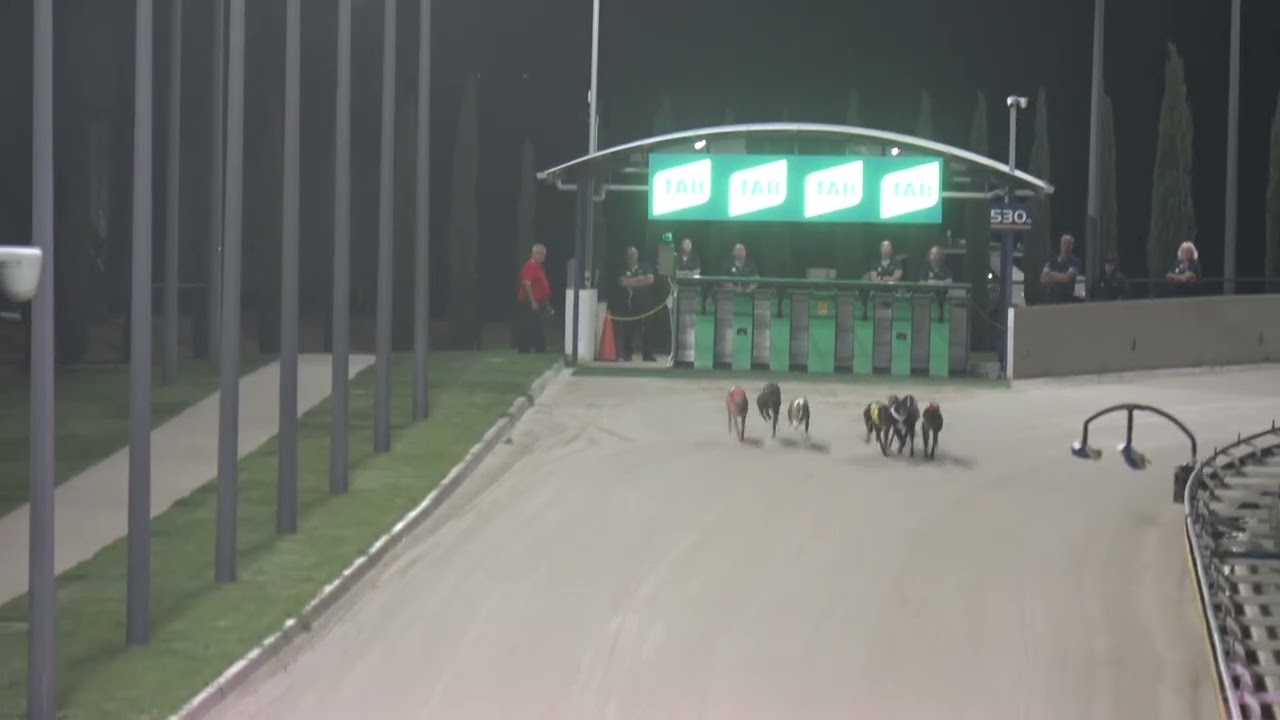 Angle-Park-23042026-Race-8