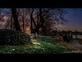 Schiller - Magic Garden