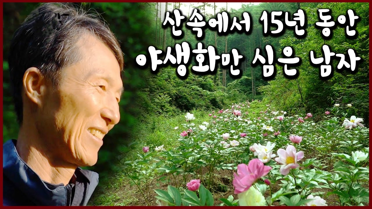 하루 아침에 빈털터리가 된 회사 대표. 강원도 홍천 산골짜기에 들어가 15년 동안 야생화만 심었다... 야생화 연정 (KBS_20180721)