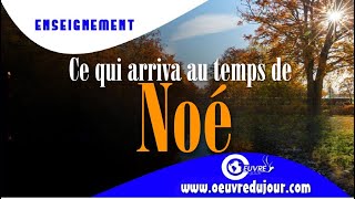 Le temps de Noé et l’avènement du Fils de l’homme.