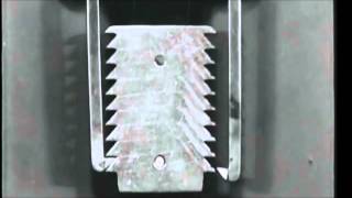 Lady &amp; Bird -  Walk Real Slow