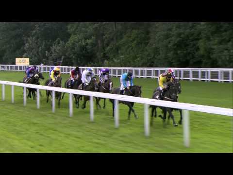 2014 Gold Cup - Royal Ascot - Leading Light - Racing UK
