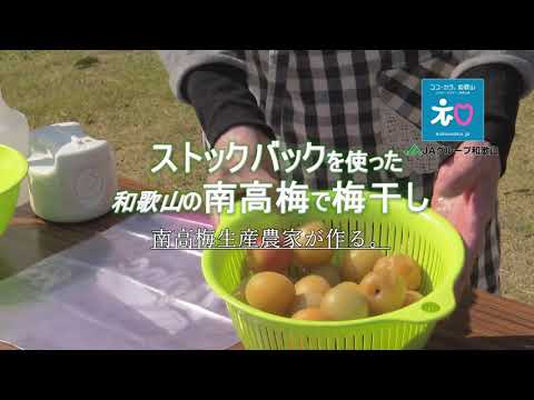 和歌山県 紀州南高梅。簡単加工レシピ (　南高梅生産農家がお教えします。）