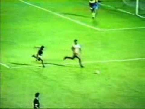 Adleonico.com.br - Leonico 3x1 Botafogo